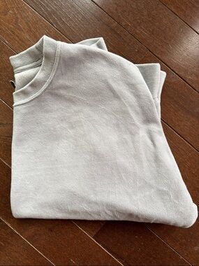 aerie Light Gray Velour Pullover Sweatshirt